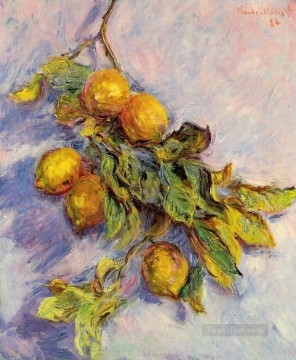  vidas Lienzo - Limones en una rama Bodegones de Claude Monet